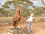 JNBT w Australii