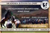 Dzikie konie sesja jesienna