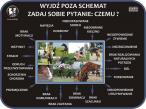 Czemu one tak reagują?