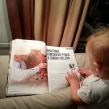 How to choose a bit article in Horse Planet